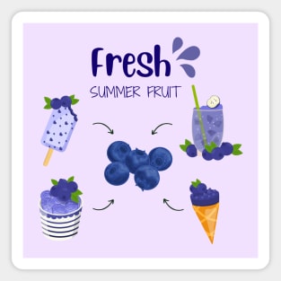 Blueberry Fresh Summer Fruit Magnet